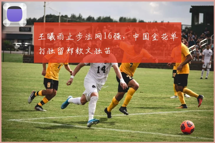 王曦雨止步法网16强，中国金花单打独留郑钦文独苗