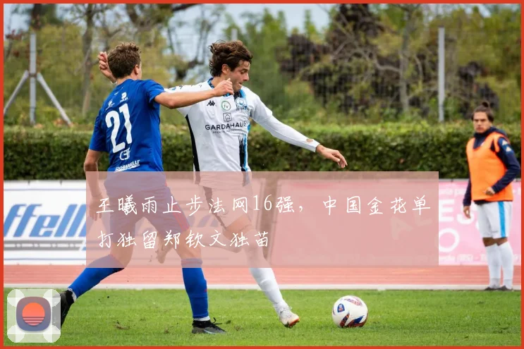 王曦雨止步法网16强,中国金花单打独留郑钦文独苗